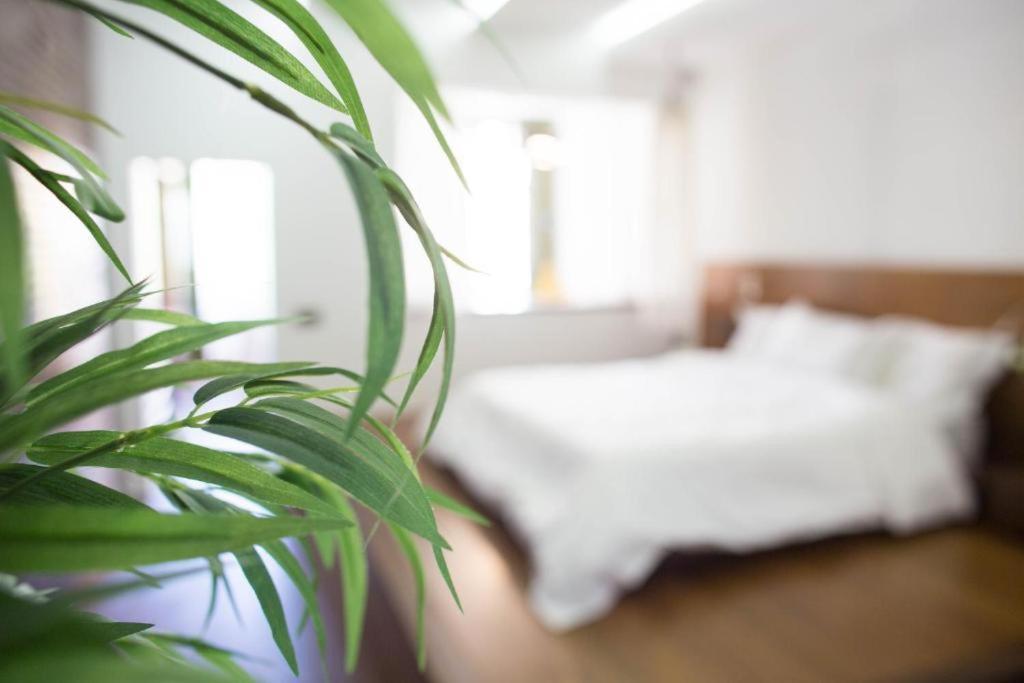 Madeira Loft I - City Center Φουνκάλ Εξωτερικό φωτογραφία